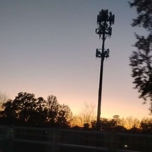 Meet your Posher, Callie